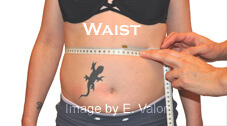 Military body fat calculator: Female Waist tape measurement