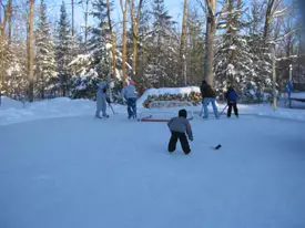 Backyard Rink