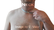 Military body fat calculator: Male Neck tape measurement