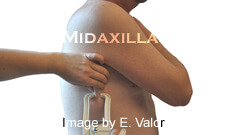 7-Site Skin Fold Test Calculator: Male midaxillary caliper measurement